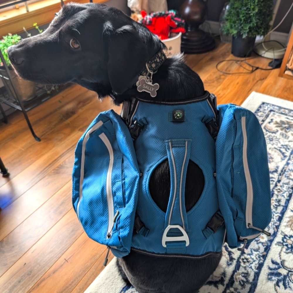 Arcadia Trail Ultimate Hiking Backpack (removable saddle bags!) size L-XL